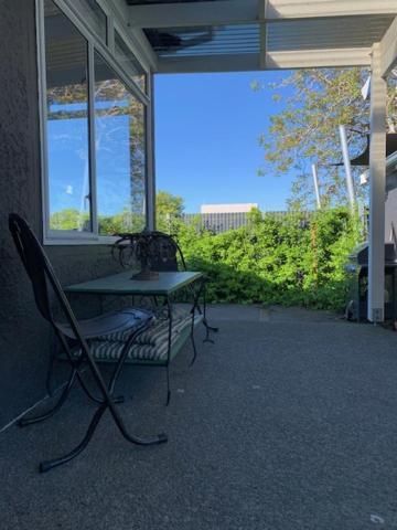 Apartament Walnut House Havelock North Zewnętrze zdjęcie